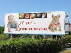 Y... ¿Quién defiende al débil, al que no puede hablar, al niño no nacido?